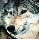 Το Avatar του χρήστη aftona32